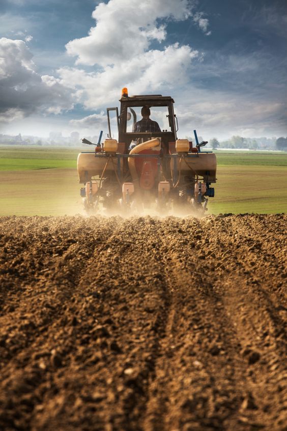 Agronegócio na Bahia e seus impactos econômicos