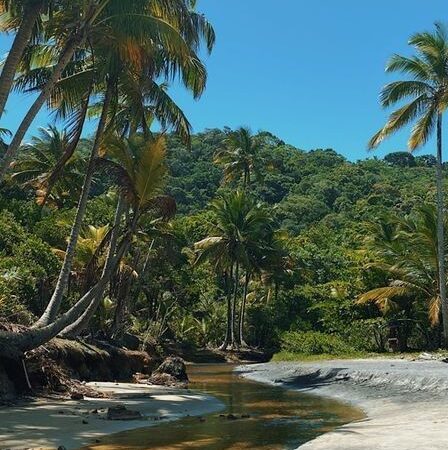 Turismo na Bahia como Vetor de Desenvolvimento: A Riqueza dos Destinos Históricos e Naturais