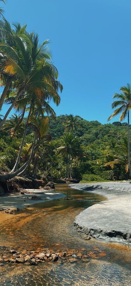 Turismo na Bahia como Vetor de Desenvolvimento: A Riqueza dos Destinos Históricos e Naturais